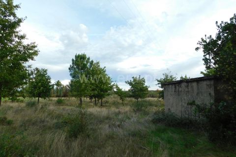 Tomt i Seia, Guarda, Seia - € 25 000 | Ref: 382220468 - foto 7