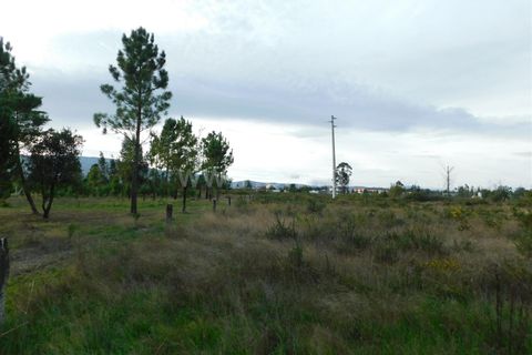Tomt i Seia, Guarda, Seia - € 25 000 | Ref: 382220468 - foto 8
