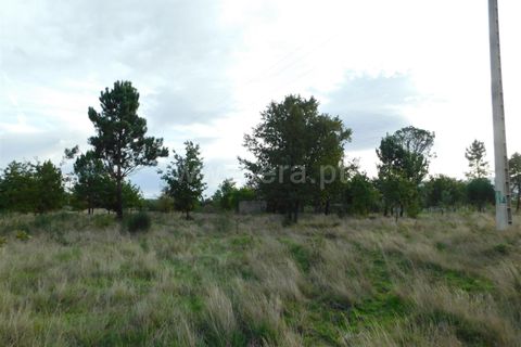 Tomt i Seia, Guarda, Seia - € 25 000 | Ref: 382220468 - foto 9