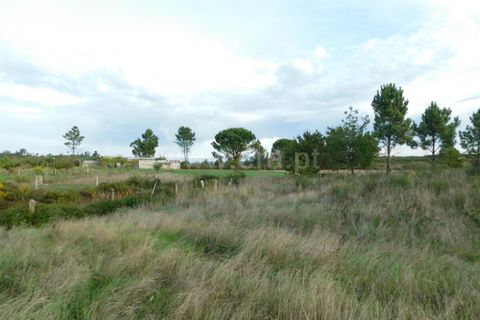 Tomt i Seia, Guarda, Seia - € 25 000 | Ref: 382220468 - foto 10