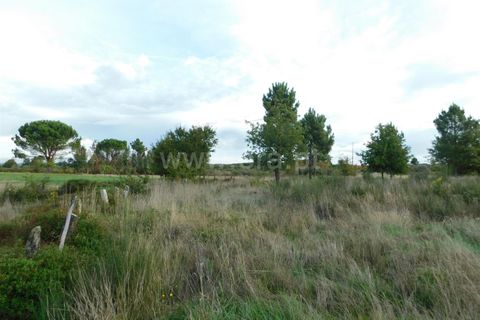 Tomt i Seia, Guarda, Seia - € 25 000 | Ref: 382220468 - foto 11