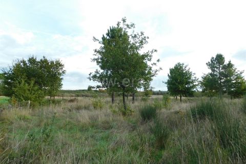 Tomt i Seia, Guarda, Seia - € 25 000 | Ref: 382220468 - foto 12