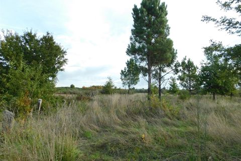 Tomt i Seia, Guarda, Seia - € 25 000 | Ref: 382220468 - foto 13