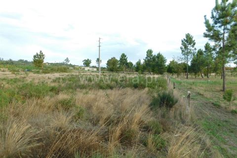 Tomt i Seia, Guarda, Seia - € 25 000 | Ref: 382220468 - foto 17