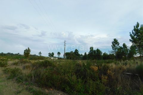 Tomt i Seia, Guarda, Seia - € 25 000 | Ref: 382220468 - foto 18