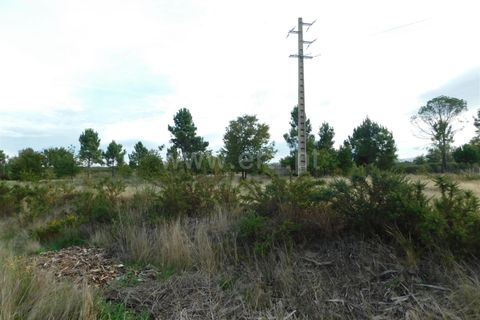 Tomt i Seia, Guarda, Seia - € 25 000 | Ref: 382220468 - foto 20