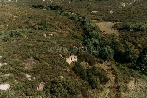 Farm i Seia, Guarda, Seia - € 50.000 | Ref: 382220482 - foto 2