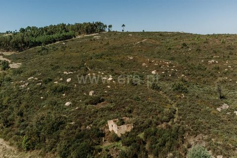 Farm i Seia, Guarda, Seia - € 50.000 | Ref: 382220482 - foto 4