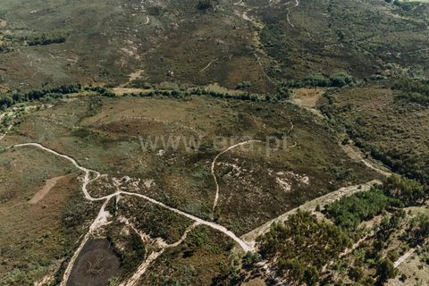 Farm i Seia, Guarda, Seia - € 50.000 | Ref: 382220482 - foto 5