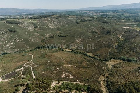 Farm i Seia, Guarda, Seia - € 50.000 | Ref: 382220482 - foto 6