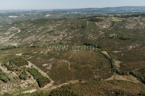 Farm i Seia, Guarda, Seia - € 50.000 | Ref: 382220482 - foto 7