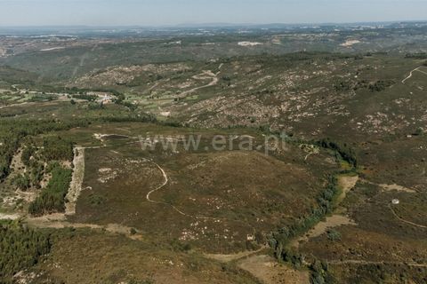 Farm i Seia, Guarda, Seia - € 50.000 | Ref: 382220482 - foto 8