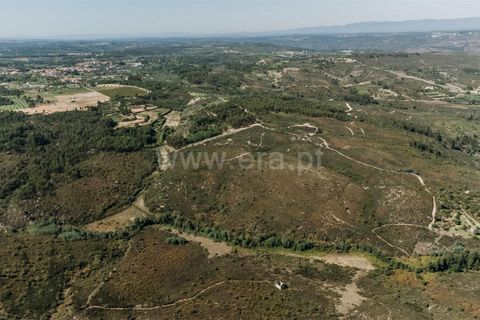 Farm i Seia, Guarda, Seia - € 50.000 | Ref: 382220482 - foto 9