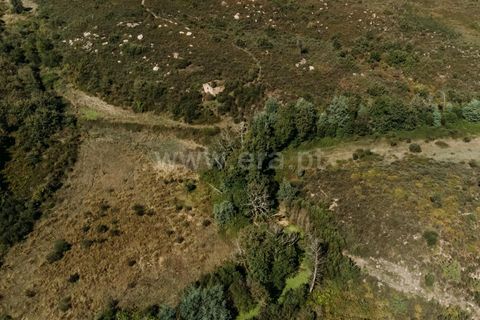 Farm i Seia, Guarda, Seia - € 50.000 | Ref: 382220482 - foto 10