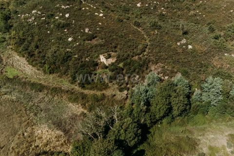 Farm i Seia, Guarda, Seia - € 50.000 | Ref: 382220482 - foto 11