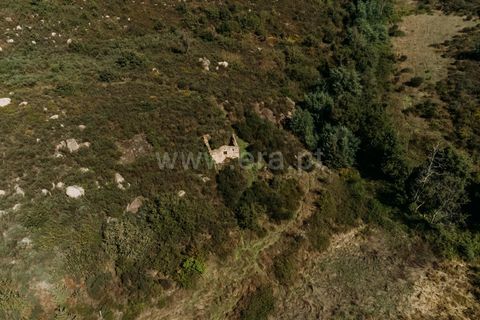 Farm i Seia, Guarda, Seia - € 50.000 | Ref: 382220482 - foto 12
