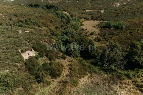 Farm i Seia, Guarda, Seia - € 50.000 | Ref: 382220482 - foto 13