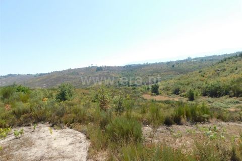 Farm i Seia, Guarda, Seia - € 50.000 | Ref: 382220482 - foto 14