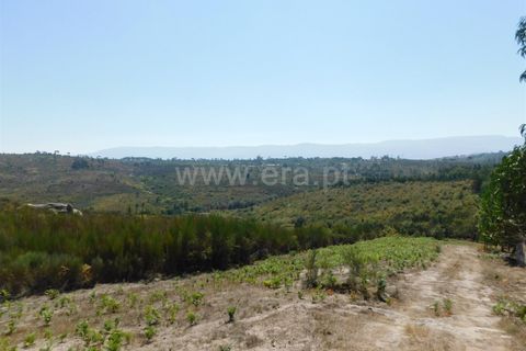 Farm i Seia, Guarda, Seia - € 50.000 | Ref: 382220482 - foto 15