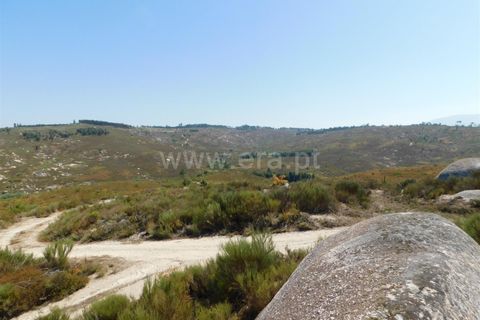 Farm i Seia, Guarda, Seia - € 50.000 | Ref: 382220482 - foto 16