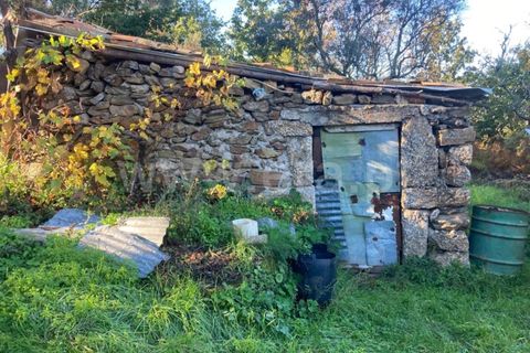 Tomt i Seia, Guarda, Seia - € 12 500 | Ref: 382220484 - foto 2