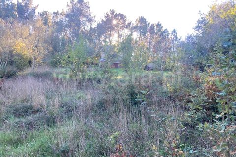 Tomt i Seia, Guarda, Seia - € 12 500 | Ref: 382220484 - foto 3