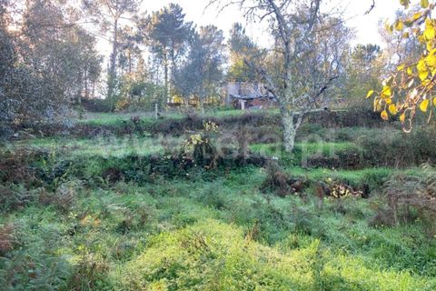 Tomt i Seia, Guarda, Seia - € 12 500 | Ref: 382220484 - foto 4