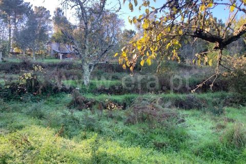 Tomt i Seia, Guarda, Seia - € 12 500 | Ref: 382220484 - foto 5