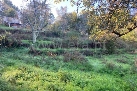 Tomt i Seia, Guarda, Seia - € 12 500 | Ref: 382220484 - foto 6