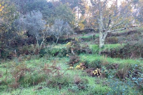 Tomt i Seia, Guarda, Seia - € 12 500 | Ref: 382220484 - foto 7