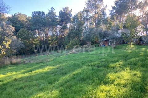 Tomt i Seia, Guarda, Seia - € 12 500 | Ref: 382220484 - foto 8