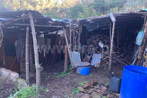 Tomt i Seia, Guarda, Seia - € 12 500 | Ref: 382220484 - foto 9