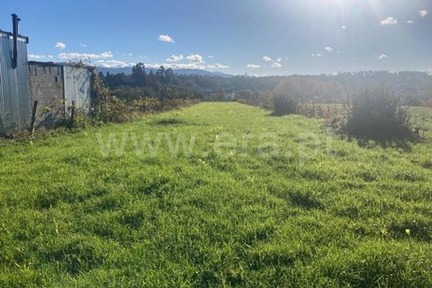 Helårsgrund i Seia, Guarda, Seia - € 12.500 | Ref: 382220485 - foto 4