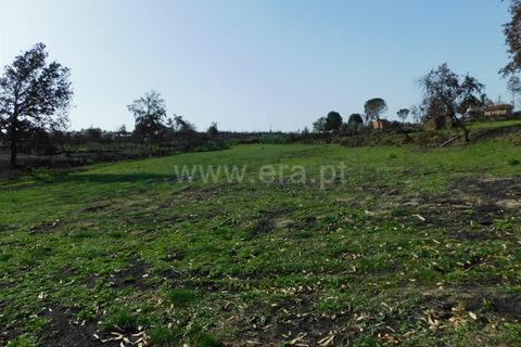 Gård i Seia, Guarda, Seia - € 58 000 | Ref: 382220504 - foto 6