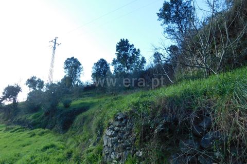Landejendom i Seia, Guarda, Seia - € 115.000 | Ref: 382230021 - foto 6
