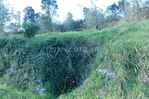 Landejendom i Seia, Guarda, Seia - € 115.000 | Ref: 382230021 - foto 7
