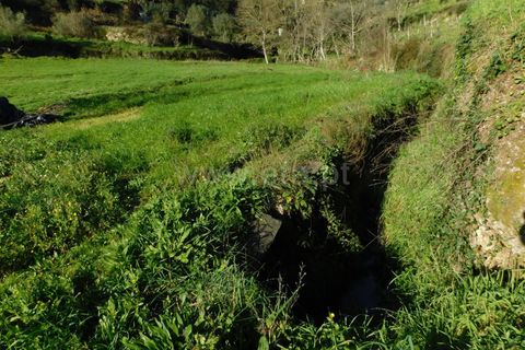 Landejendom i Seia, Guarda, Seia - € 115.000 | Ref: 382230021 - foto 11
