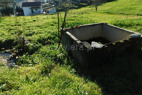Landejendom i Seia, Guarda, Seia - € 115.000 | Ref: 382230021 - foto 12