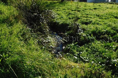 Landejendom i Seia, Guarda, Seia - € 115.000 | Ref: 382230021 - foto 13