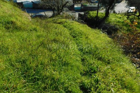 Landejendom i Seia, Guarda, Seia - € 115.000 | Ref: 382230021 - foto 14