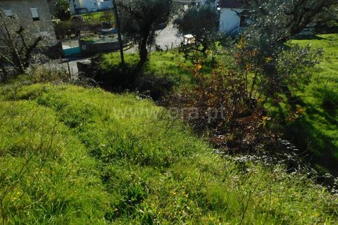 Landejendom i Seia, Guarda, Seia - € 115.000 | Ref: 382230021 - foto 15