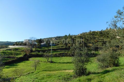 Landejendom i Seia, Guarda, Seia - € 115.000 | Ref: 382230021 - foto 17