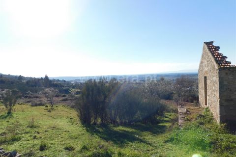 Tomt i Seia, Guarda, Seia - € 25 000 | Ref: 382230028 - foto 3
