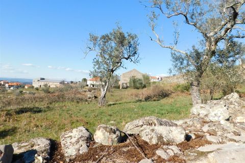 Tomt i Seia, Guarda, Seia - € 25 000 | Ref: 382230028 - foto 6