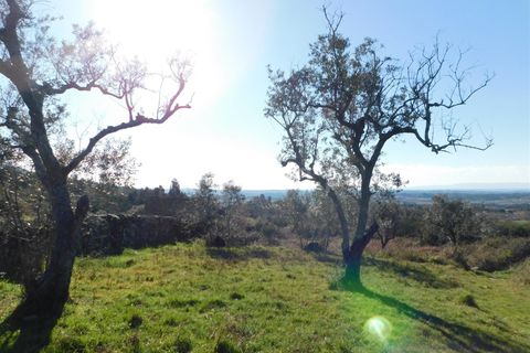 Tomt i Seia, Guarda, Seia - € 25 000 | Ref: 382230028 - foto 7