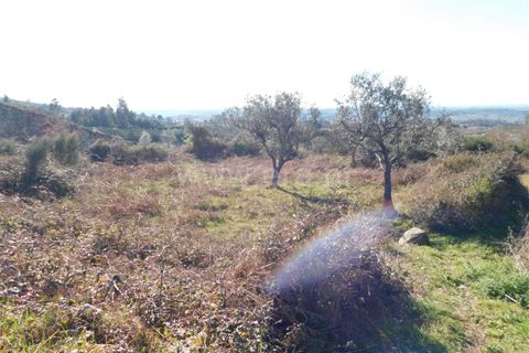 Tomt i Seia, Guarda, Seia - € 25 000 | Ref: 382230028 - foto 8