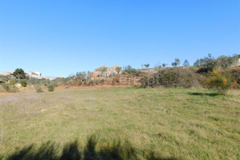 Tomt i Seia, Guarda, Seia - € 25 000 | Ref: 382230028 - foto 9