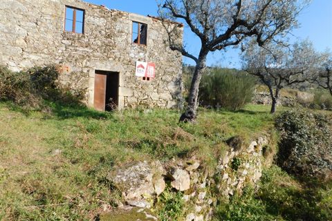Tomt i Seia, Guarda, Seia - € 25 000 | Ref: 382230028 - foto 11