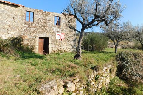Tomt i Seia, Guarda, Seia - € 25 000 | Ref: 382230028 - foto 12