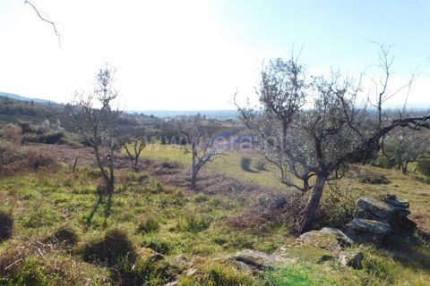 Tomt i Seia, Guarda, Seia - € 25 000 | Ref: 382230028 - foto 13
